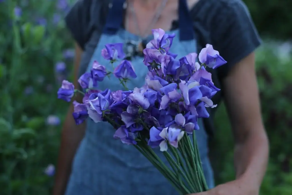 beim ersten date blumen schenken