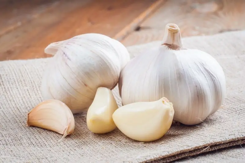 big garlic