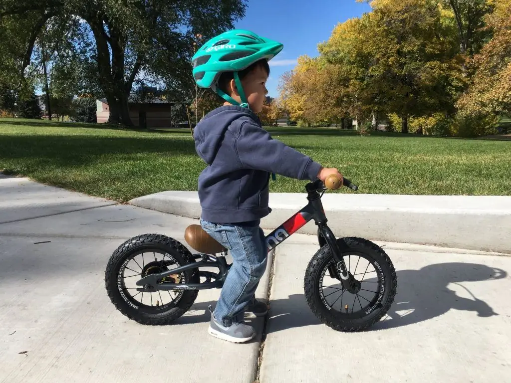 Valutazione della bici senza pedali per bambini dai 2 anni