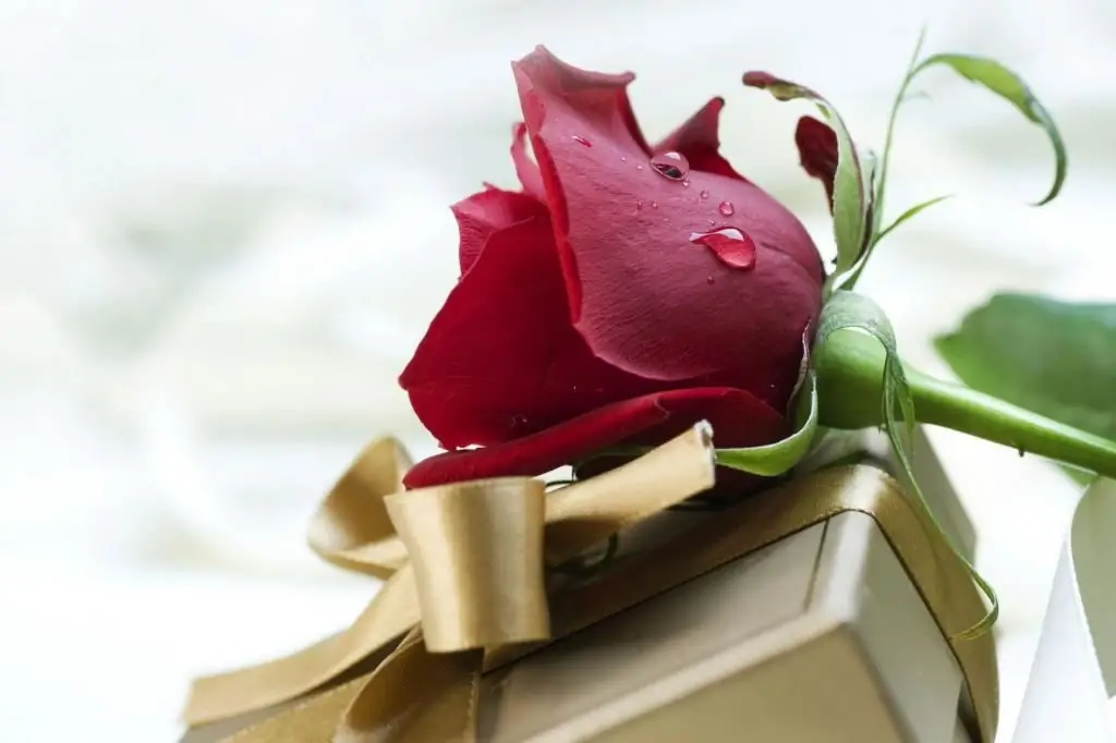 Rose und Geschenk