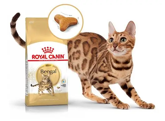 nourriture d'élite pour chats bengal