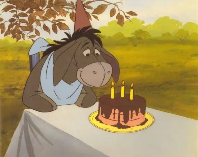 aniversário do burro