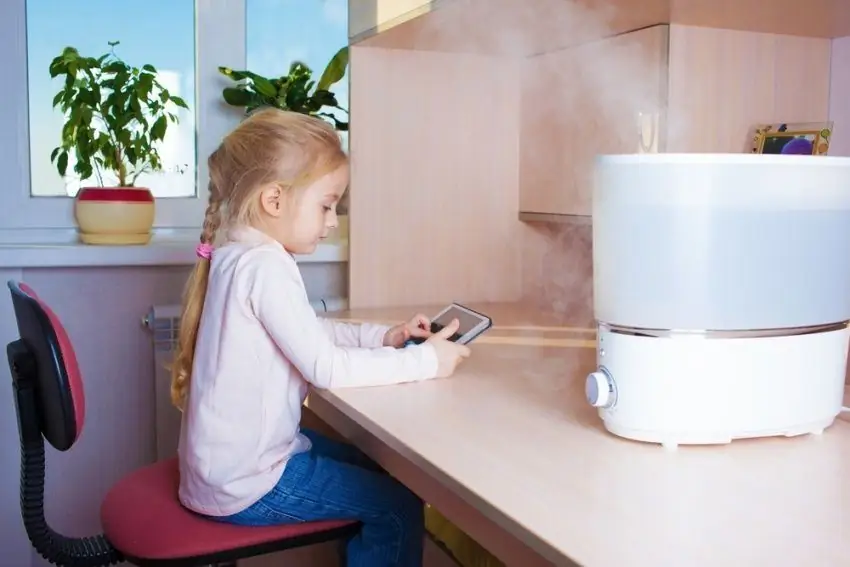 ultrasonic humidifier pros thiab cons