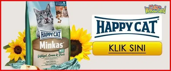 happy cat for cats reviews