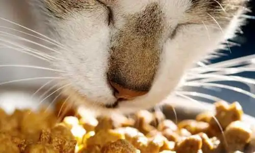 Comida "Happy Cat" (para gatos): descrição, tipos, comentários de donos de animais de estimação