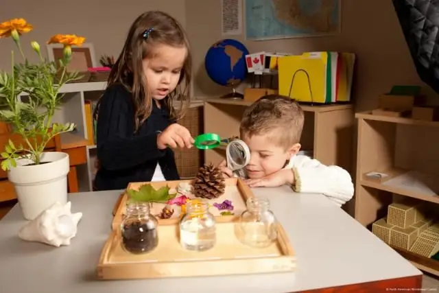 children look at objects through a magnifying glass