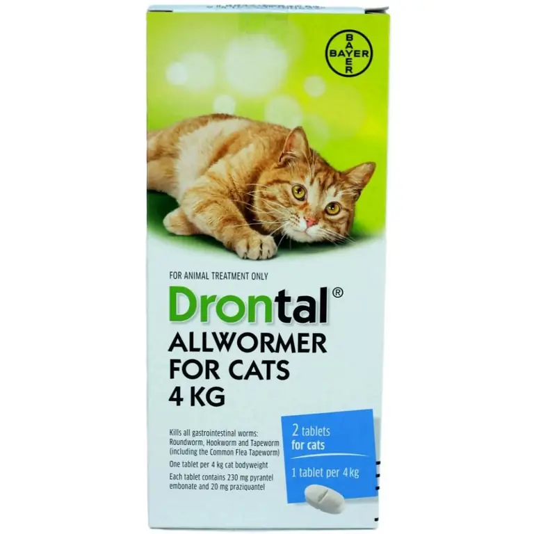 Image "Drontal" pour chats