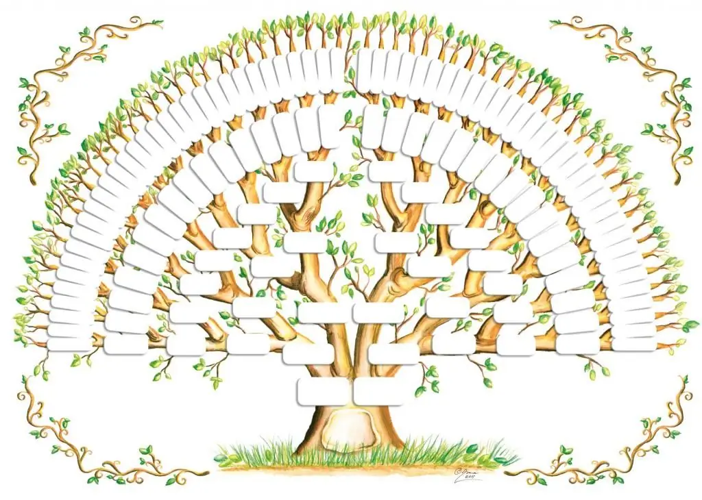 Hoe kom je erachter waar je vandaan komt? Hoe maak je een genealogische stamboom?