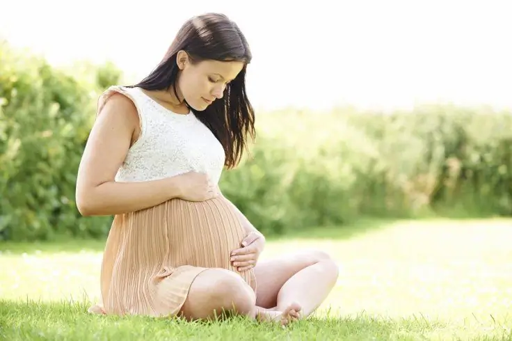 mujer embarazada en la naturaleza