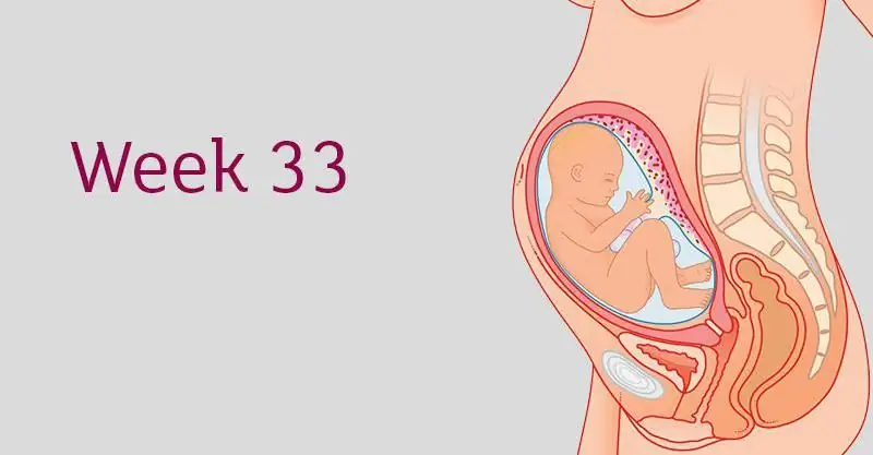 33 week van swangerskap: sensasies, ultraklank, gewig, lengte, ontwikkeling en foto van die fetus, ondersoeke, aanbevelings