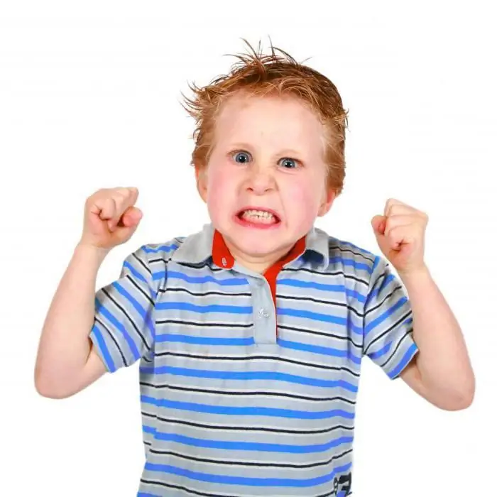 Raising a child (3-4 years old): psychology, tips. Features of the upbringing and development of children 3-4 years old. The main tasks of raising children 3-4 years old Raising a child (3-4 years old): psychology, tips. Features of the upbringing and development of children 3-4 years old. The main tasks of raising children 3-4 years old
