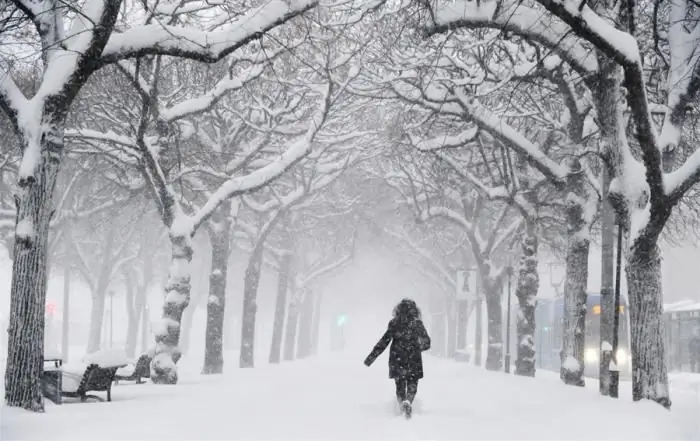 Cosa fare in inverno per strada, a casa o al villaggio? Cosa fare durante le vacanze invernali?