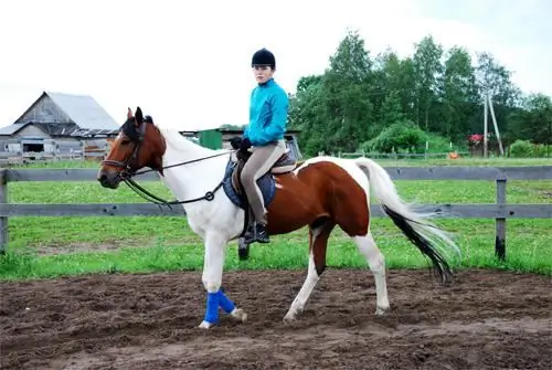 Stovykla „Robinas Hudas“. Vaikų stovykla Maskvos srityje