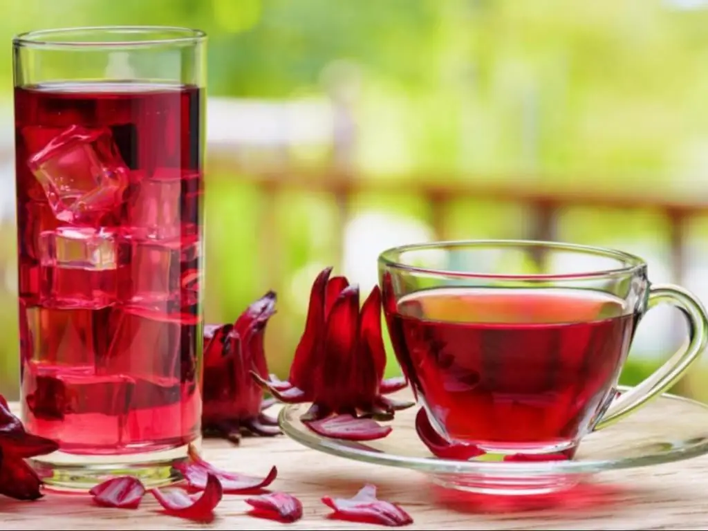 Can pregnant women have hibiscus tea: properties of tea, its effect on the body, benefits and contraindications