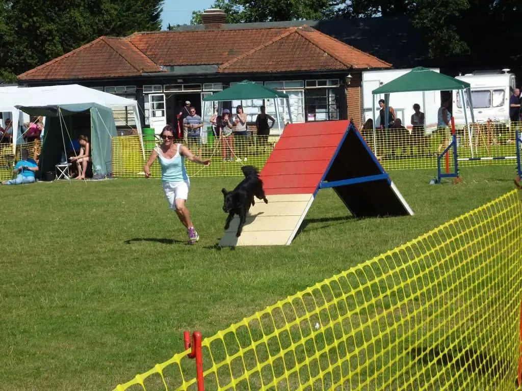 Spielplätze für Hunde