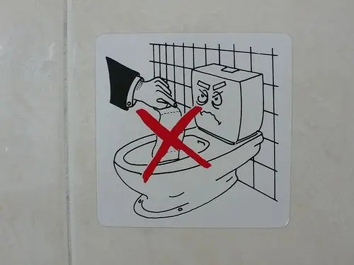 Is it possible to throw toilet paper into the toilet: possible consequences