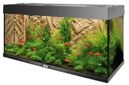 cabinet para sa aquarium