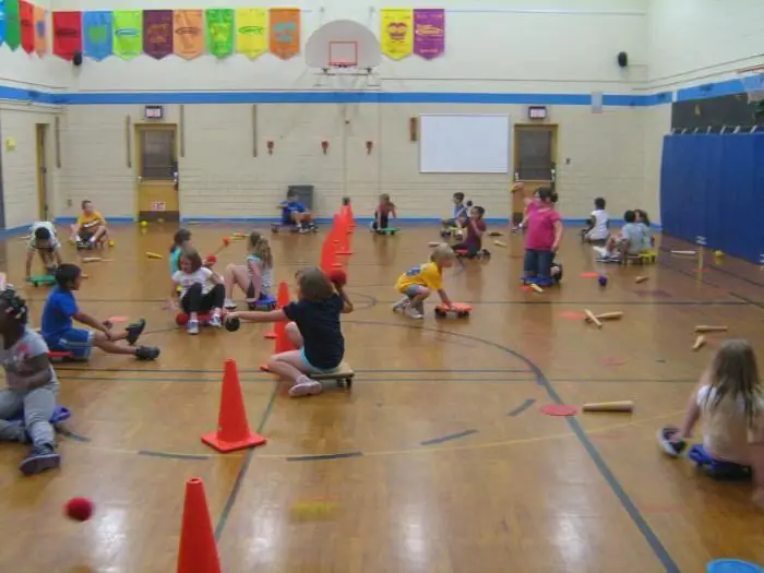 Physical education: goals, objectives, methods and principles. Principles of physical education of preschool children: characteristics of each principle. Principles of the system of physical education