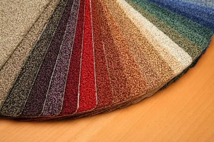 Polypropylene carpet: reviews, advantages and disadvantages. Carpet on the floor