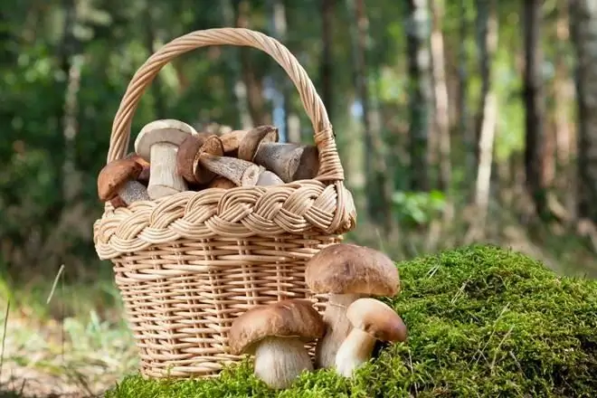 Panier en osier pour champignons