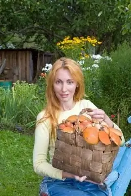 Een mand voor paddenstoelen is een oude en trouwe metgezel van een paddenstoelenplukker