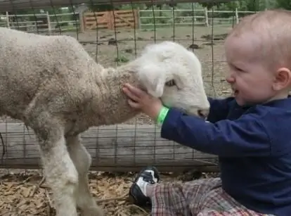 4. listopada - Dan životinja u mnogim zemljama svijeta