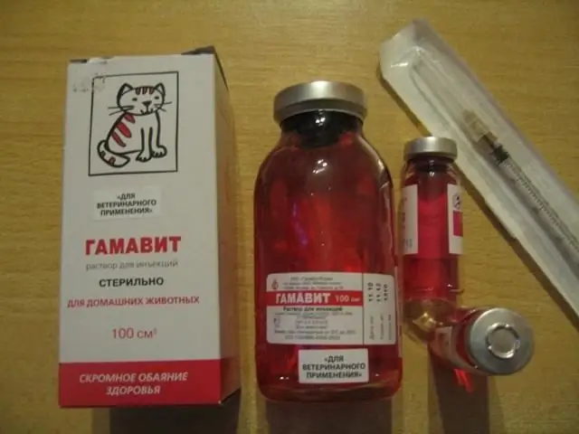 gamavit para un gato