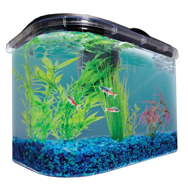 Potassium in an aquarium with plants: dosage and use as fertilizer