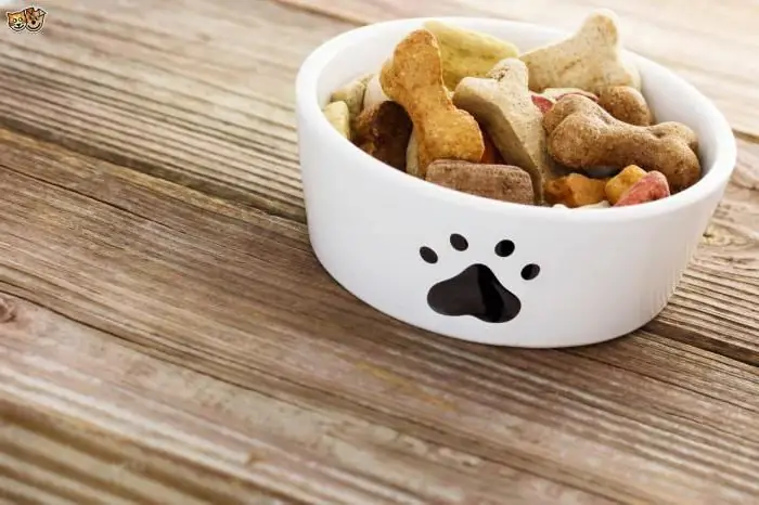 cibo secco orijen per cani