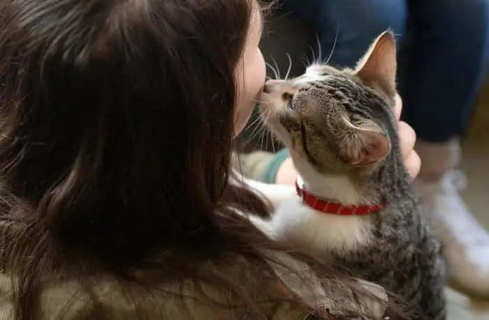 Katte der helbreder mennesker