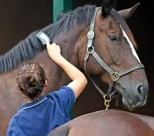 Como nomear uma garota-cavalo