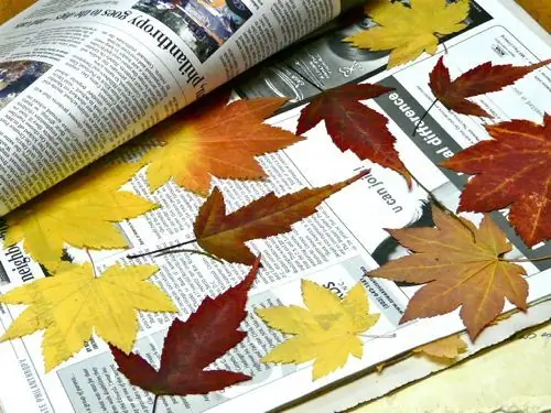 séchage des feuilles d'automne