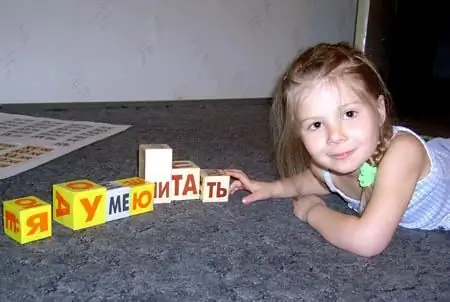 jeux avec des cubes de lièvre