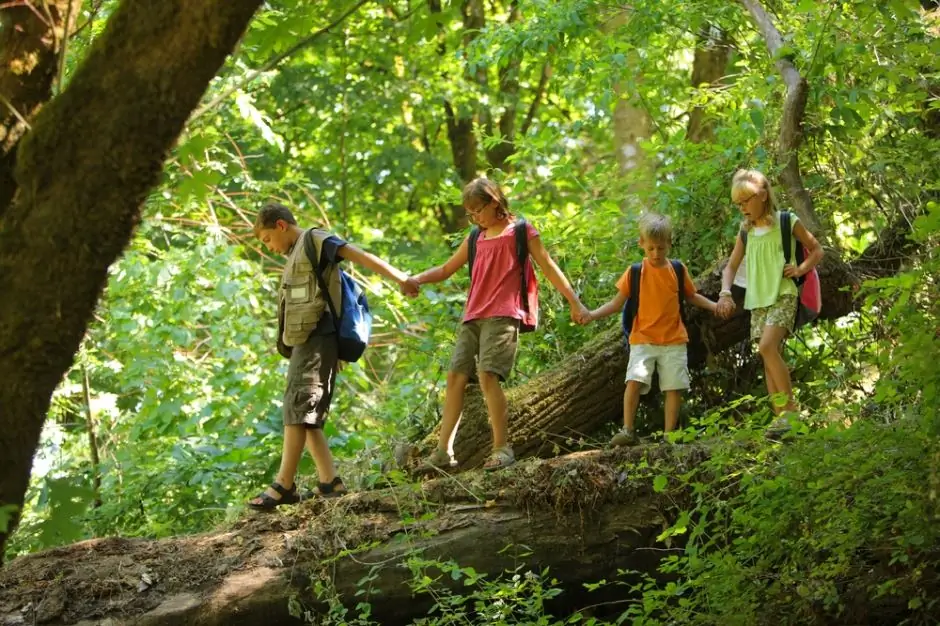 kinderen in het bos