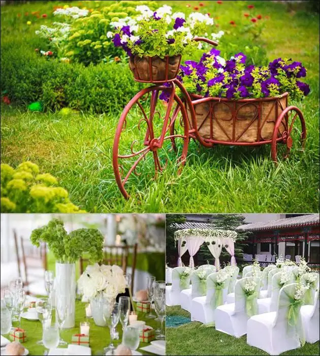 boda verde morado