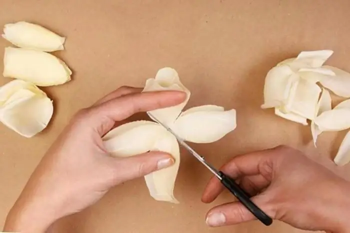 Rounding rose petals with scissors