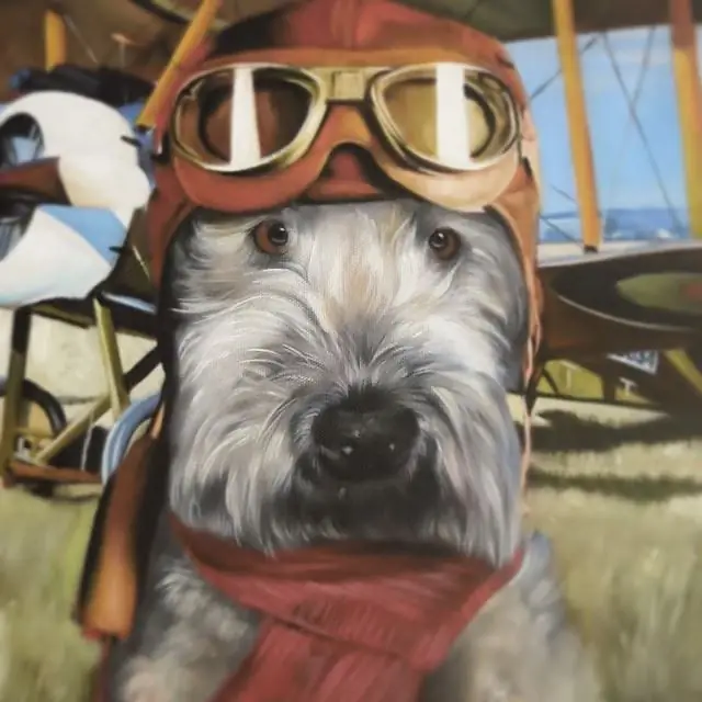 pilot dog