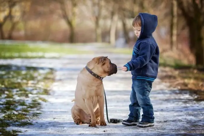 animale per un bambino di 6 anni