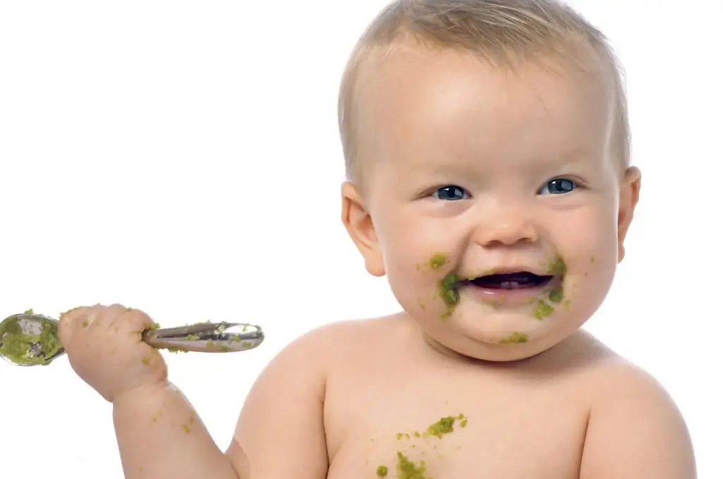 Complementary foods for babies: timing, types of complementary foods, necessary products