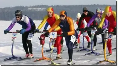 Финландын чарга бол насны хязгааргүй баяр баясгалан, эрүүл мэндийн далай юм