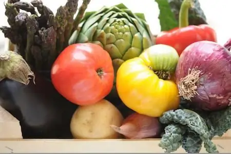 Kinderrätsel rund um Gemüse und Obst. Rätsel über Blumen, Gemüse, Obst