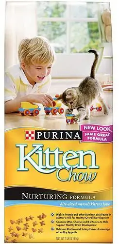 Khoom noj "Purina" rau miv: tshuaj xyuas. Dab tsi yog qhov khoom noj miv zoo tshaj plaws