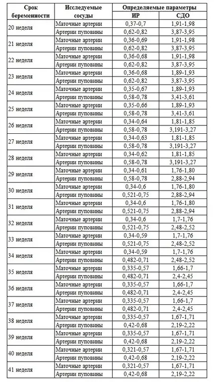 Dopplerometry norms during pregnancy