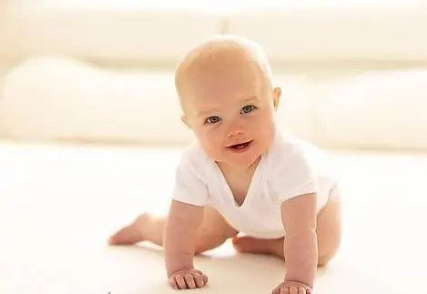 Bebê aos 8 meses: rotina diária. Comida para bebé aos 8 meses