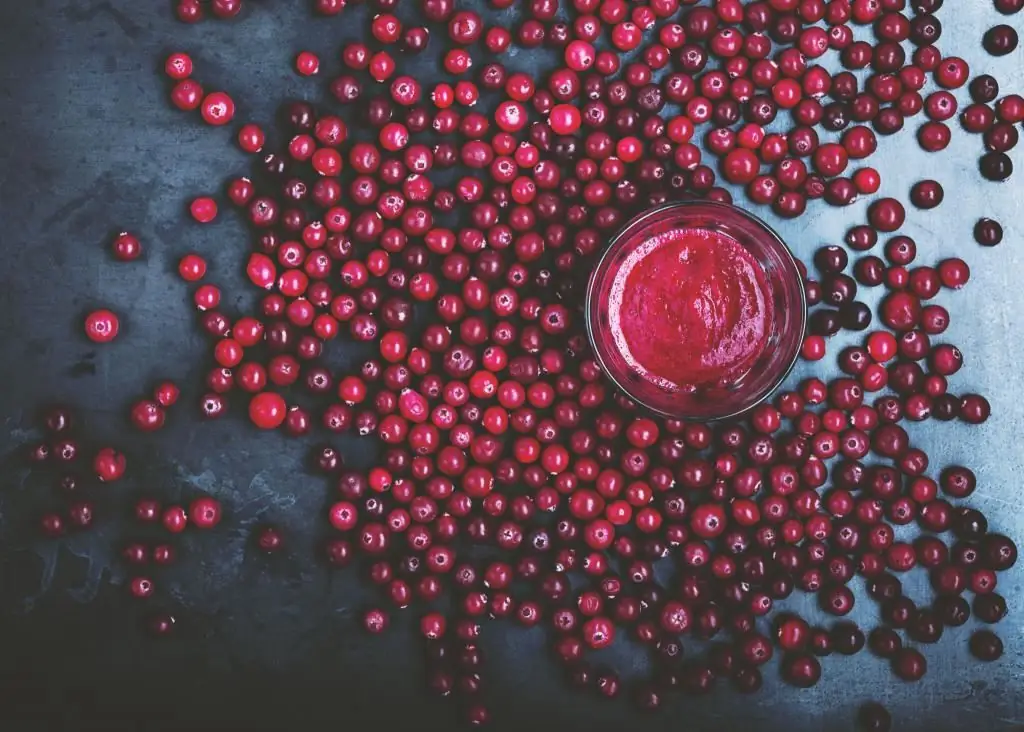 recette de jus de canneberge pendant la grossesse à partir de baies congelées