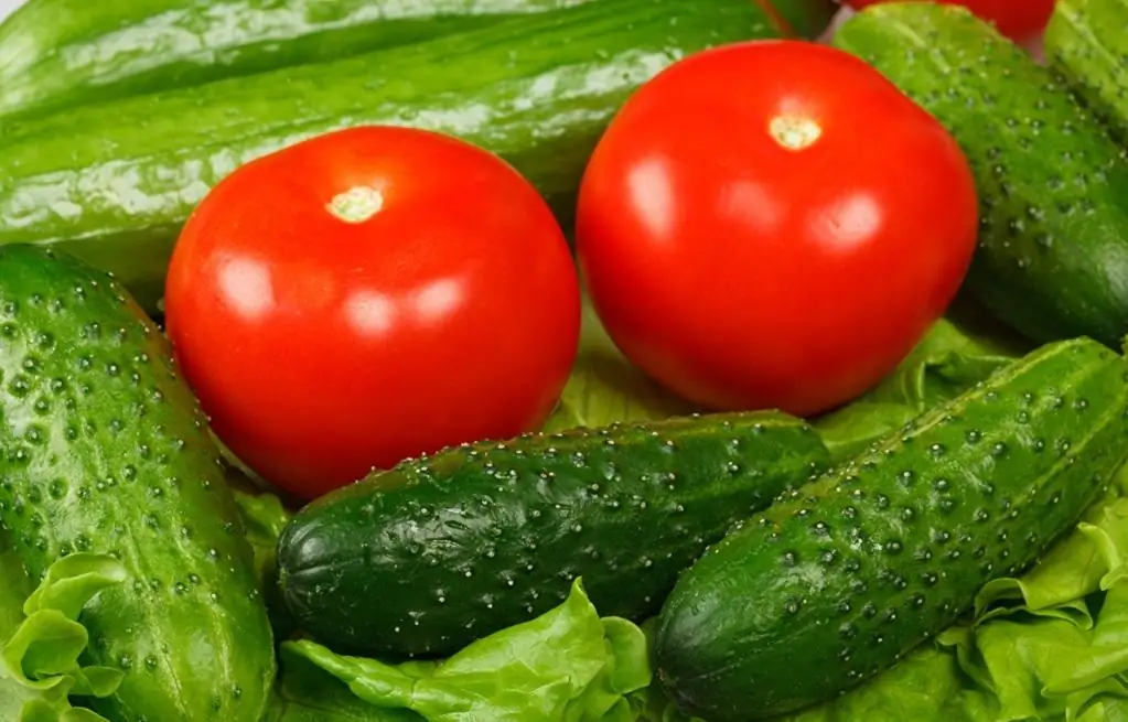 pepinos e tomates