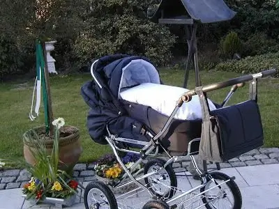 hesba kinderwagen preis