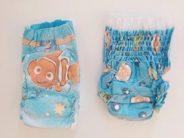 swim diaper panty