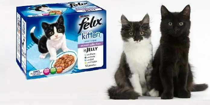 felix cat food reviews