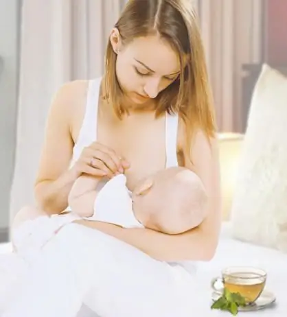 good tea for lactation